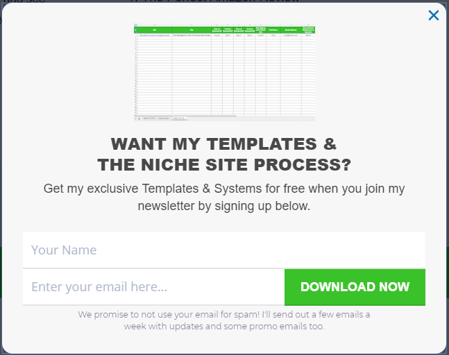 Niche Site Project Sign Up Opt-in Example